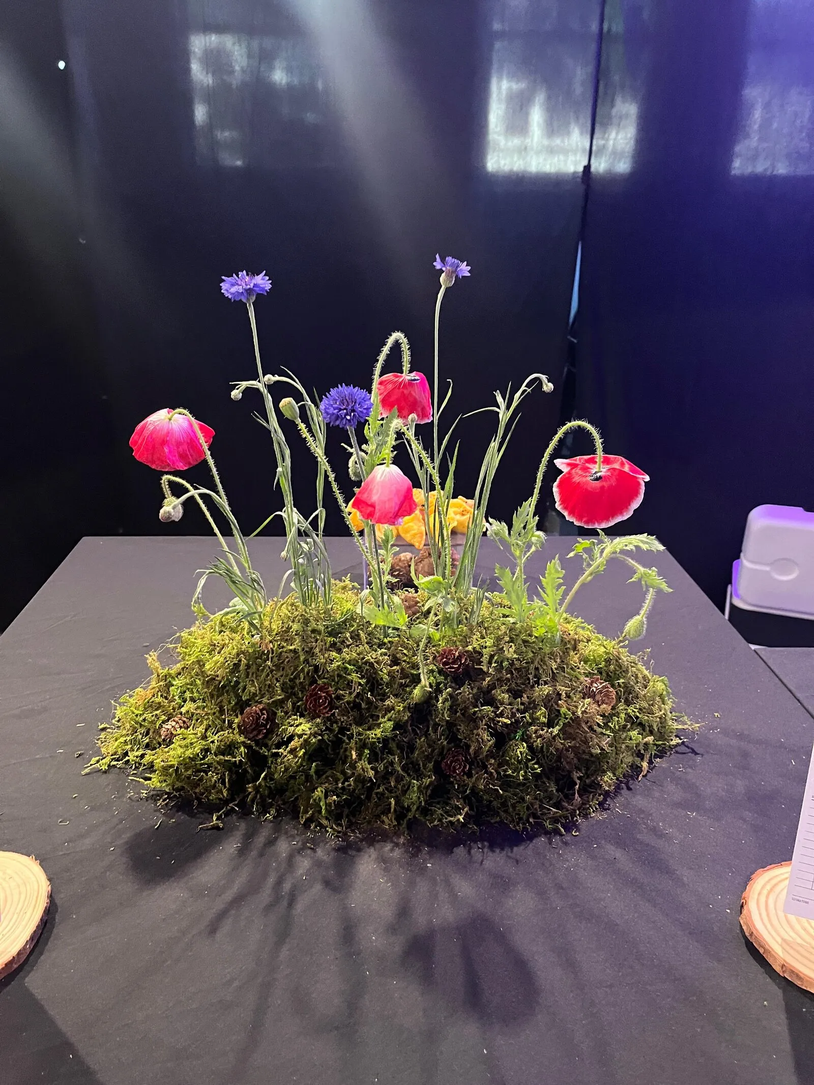 The 'Plant it Whole' centerpiece — a living mound of moss and poppies on the table